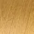 1019 goud
