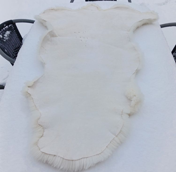 Merino Lamsvel uit eigen kudde: Een natuurlijk wonder - Afbeelding 9