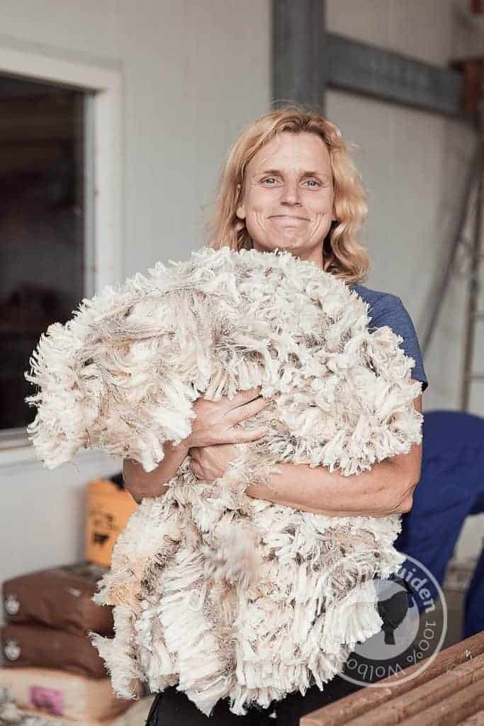 DutchMerino Heerlijk zachte merinowol