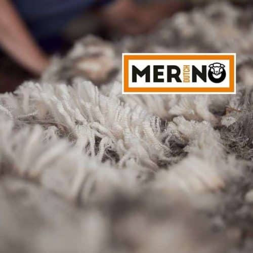 DutchMerino Merinowol net geschoren vacht