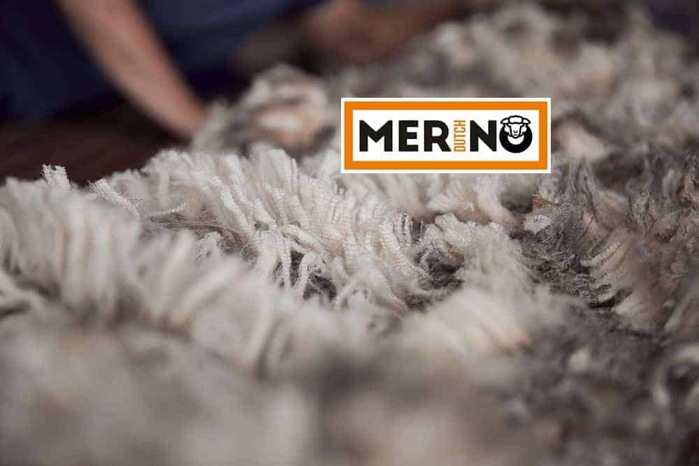DutchMerino Merinowol net geschoren vacht