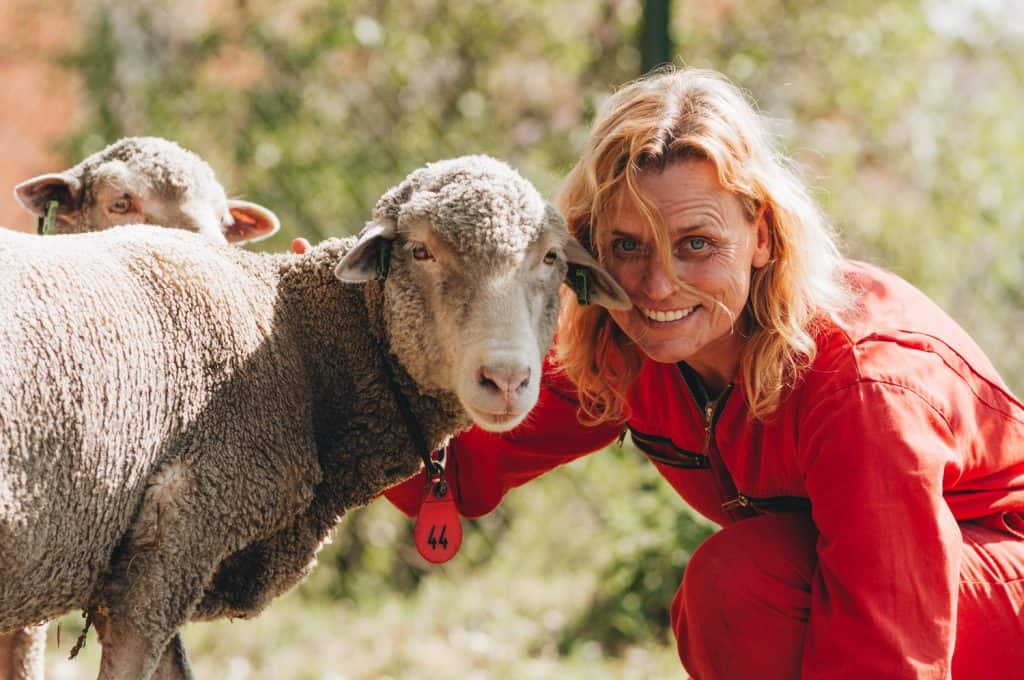 DutchMerino-Janny Wijna en merinoschaap Mandy