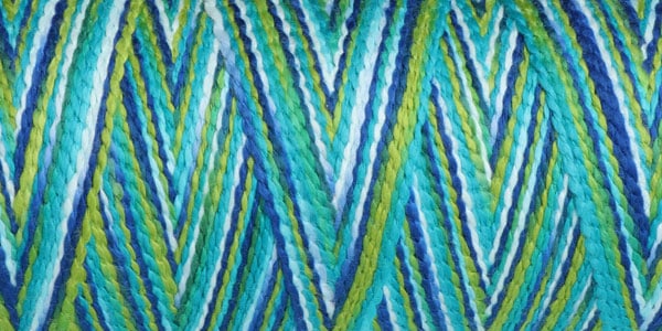 04Paua