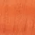 850CelosiaOrange