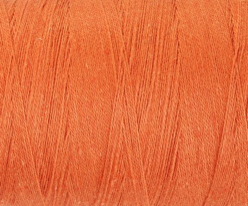 850CelosiaOrange