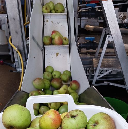 Appelsap van eigen hoogstamfruitboomgaard: een heerlijk en puur product - Afbeelding 6
