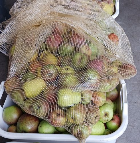 Appelsap van eigen hoogstamfruitboomgaard: een heerlijk en puur product - Afbeelding 5