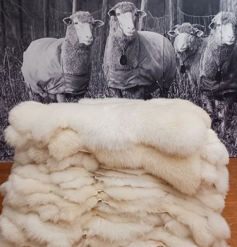 Merino Lamsvel uit eigen kudde: Een natuurlijk wonder - Afbeelding 6