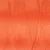 50 Celosia Orange