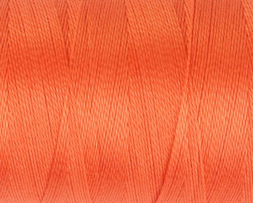 50 Celosia Orange