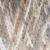13 Sandstone