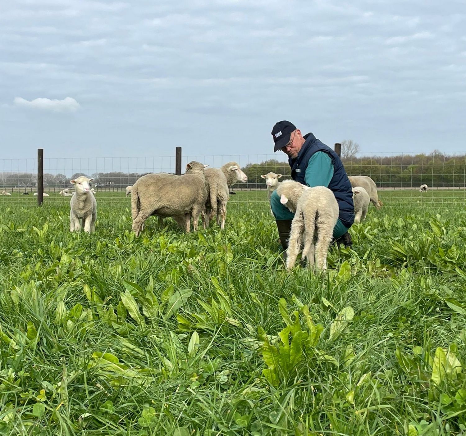 Tickets: Weidewandeling "Meivakantie & Moederliefde" – Zaterdag 25 april