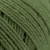 Soft Fern (909803)
