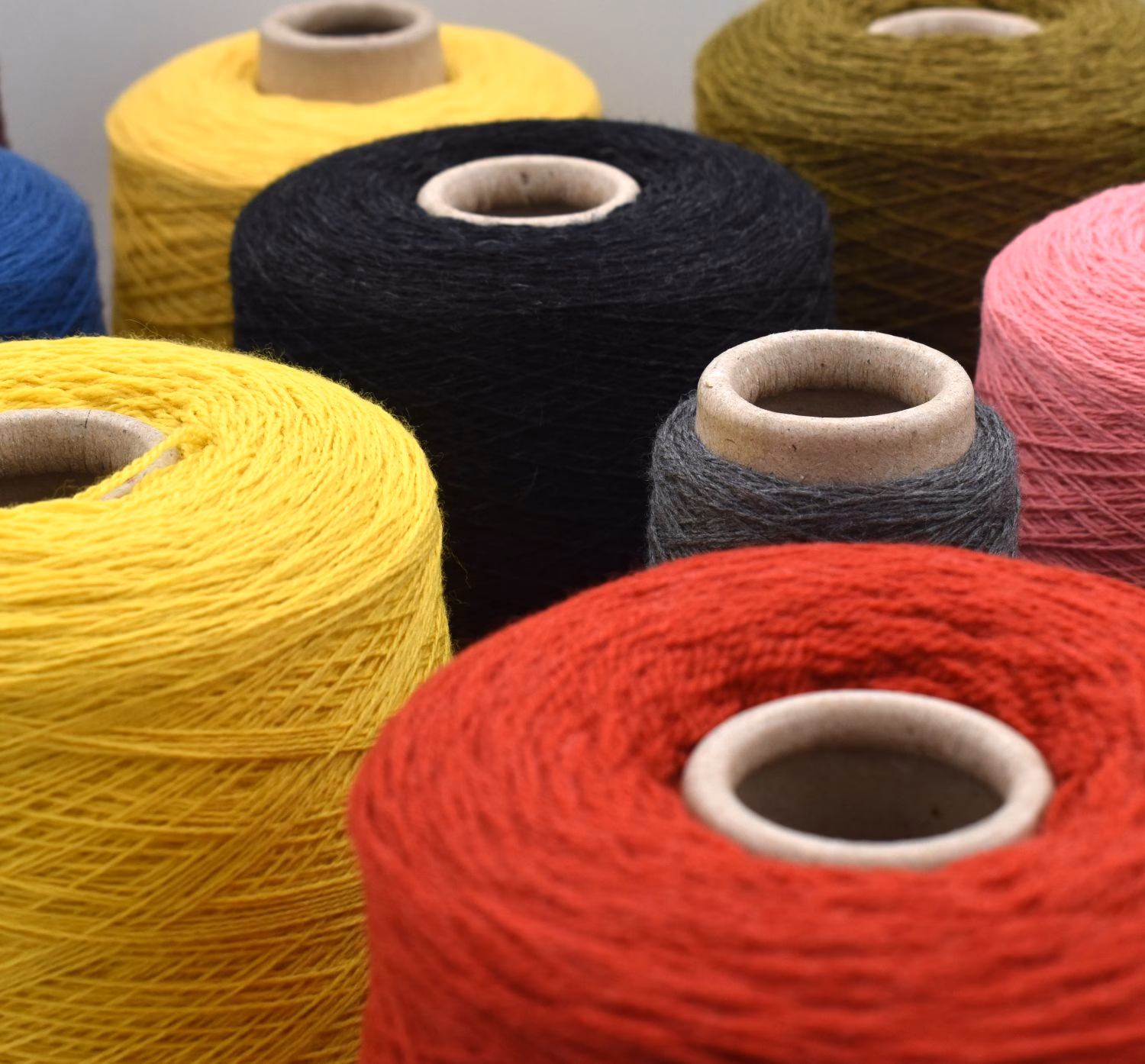 web-WolboerderijBlijBezuiden-DutchMerino-Sarko-DSC_7014