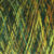 11Jungle