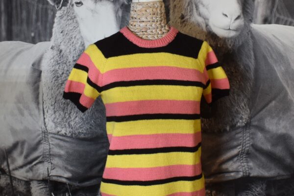 web-EngelseDrop-shirt-pop-DSC_7044