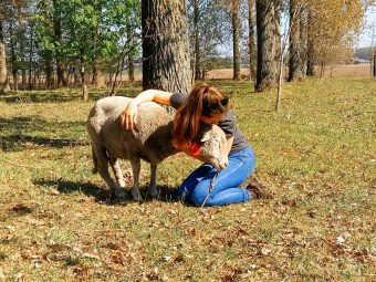 {{brizy_dc_image_alt entityId=