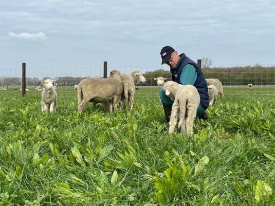 {{brizy_dc_image_alt entityId=