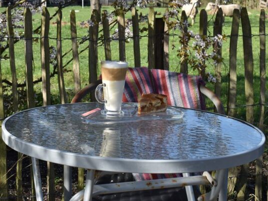 {{brizy_dc_image_alt entityId=