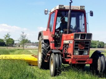 {{brizy_dc_image_alt entityId=